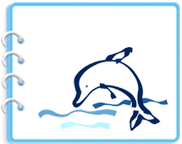 delfino copertina