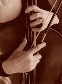 sebaviolonc